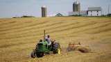 Govt&#039;s Rabi season oilseed, wheat procurement in full flow