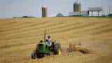 Govt's Rabi season oilseed, wheat procurement in full flow Govt's Rabi season oilseed, wheat procurement in full flow