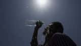 Hotter, drier weather linked to lower survival of coronavirus on surfaces: IIT-Bombay Study Hotter, drier weather linked to lower survival of coronavirus on surfaces: IIT-Bombay Study