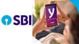 SBI online savings account opening without moving out is possible, you just need Aadhaar, PAN card; here is how
