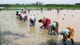 Monsoon 2020: Rain clobbers Maharashtra, high alert in Konkan Monsoon 2020: Rain clobbers Maharashtra, high alert in Konkan
