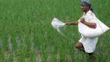 Centre releases guidelines for evaluation of nano-based agri-input, food products in India