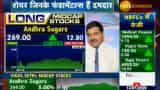 Mid-cap Picks with Anil Singhvi: Andhra Sugars, Nelco, Endurance Technologies top stocks to buy, says analyst Vikas Sethi 