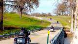 Road trips, outdoor time linked to happiness: Survey Road trips, outdoor time linked to happiness: Survey
