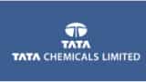 Tata Chemical – Annual Report analysis