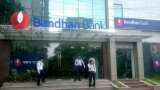 Bandhan Bank Share Price: On strong results, stock market experts put buy call; check why Bandhan Bank Share Price: On strong results, stock market experts put buy call; check why