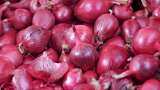 Onion price soars! The humble bulb scripts a tear-jerker of a story - know how