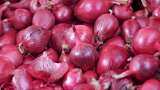 Onion price soars! The humble bulb scripts a tear-jerker of a story - know how Onion price soars! The humble bulb scripts a tear-jerker of a story - know how