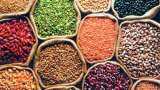 Pulses prices rising: Urad, Tur relief coming soon to your state - know rates you will get here