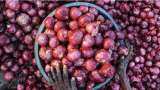 Nafed floats bids for supply of 15,000 tonnes of imported red onions by Nov 20