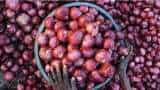 Nafed floats bids for supply of 15,000 tonnes of imported red onions by Nov 20