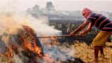At 40 per cent, stubble burning contribution in Delhi&#039;s pollution soars to season&#039;s high
