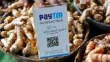 Paytm rejects report on China's Ant Group considering stake sale Paytm rejects report on China's Ant Group considering stake sale