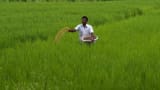 Pradhan Mantri Kisan Samman Nidhi scheme: Farmers to get 7th installment on this date | here is how you can check balance through 5 easy steps