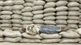ACC and Ambuja Cement share prices: Morgan Stanley expects recovery over next few days