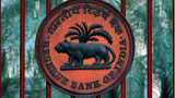 Banks GNPA may rise over 22-yr high of 13.5 pc by Sep 2021: RBI FSR