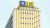 LIC IPO in offing, but insurer logs massive drop in individual annual premium equivalent