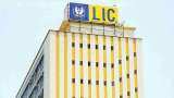 LIC IPO in offing, but insurer logs massive drop in individual annual premium equivalent LIC IPO in offing, but insurer logs massive drop in individual annual premium equivalent