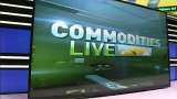 Commodities Live: Know how to trade in Commodity Market, Feb 16, 2021