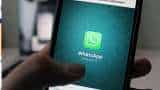 WhatsApp Mute Video feature: You just cannot afford to miss out on this WhatsApp Mute Video feature: You just cannot afford to miss out on this