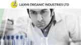 Laxmi Organic Industries IPO Allotment Status Check Online From Direct BSE link