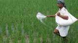 No final call taken on direct cash transfer of fertiliser subsidy to farmers: Govt No final call taken on direct cash transfer of fertiliser subsidy to farmers: Govt