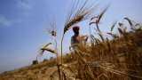 PM Kisan: Want to know about the 8th instalment of this flagship scheme by Narendra Modi Government? Check all details here PM Kisan: Want to know about the 8th instalment of this flagship scheme by Narendra Modi Government? Check all details here