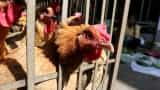 VIRUS ALERT! China reports first human case of H10N3 bird flu - What you must be aware of VIRUS ALERT! China reports first human case of H10N3 bird flu - What you must be aware of