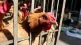 VIRUS ALERT! China reports first human case of H10N3 bird flu - What you must be aware of 