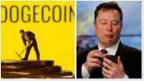 Dogecoin soars 15%, captures 5th position: Elon Musk FACTOR? Polka Dot, Shiba Inu gain big too—Check how Bitcoin, Ethereum and other top coins performed TODAY 
