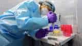 Can Coronavirus Delta Plus variant cause THIRD WAVE of COVID-19 pandemic in India? How EFFECTIVE are Covaxin and Covishield against this variant? Check what experts have to say Can Coronavirus Delta Plus variant cause THIRD WAVE of COVID-19 pandemic in India? How EFFECTIVE are Covaxin and Covishield against this variant? Check what experts have to say