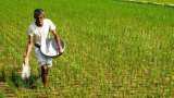ADDITIONAL SUBSIDY for Farmers: FM Sitharaman announces Rs 14,775 cr extra; Check full details ADDITIONAL SUBSIDY for Farmers: FM Sitharaman announces Rs 14,775 cr extra; Check full details