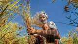 PM KISAN Samman Nidhi Yojana: How Digital India AUGMENTED this scheme? Follow THESE simple steps to check PM KISAN beneficiary status on pmkisan.gov.in PM KISAN Samman Nidhi Yojana: How Digital India AUGMENTED this scheme? Follow THESE simple steps to check PM KISAN beneficiary status on pmkisan.gov.in