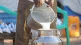 Milk Price Hike in UP: After Amul, Mother Dairy, Parag Millk increases price by Rs 2 across state from THIS date—Check details 