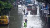 Mumbai Rains: Water logging at some places, local train services disrupted - Check details