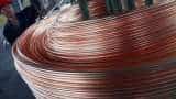 Hindustan Copper Q1 Result: Net profit rises 54% to Rs 46 crore, PAT at Rs 29.69 cr- Check other DETAILS