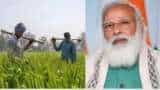 PM Kisan: 9th instalment TODAY! PM Modi to transfer Over Rs 19,500 cr into 9.75 cr farmers&#039; account; Check STEPS, direct link to check STATUS