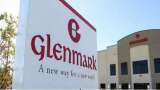 Glenmark Life Sciences share price on Monday - stock falls 1.5% on BSE - second straight correction since listing on Friday