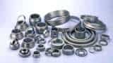 Rolex Rings shares decline for 2nd day in row; down nearly 12% from life high Rolex Rings shares decline for 2nd day in row; down nearly 12% from life high