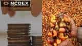 Crude palm oil price: Expert gives outlook, movement on NCDEX; long-term, short-term impact of National Mission on Edible Oils on rates DECODED Crude palm oil price: Expert gives outlook, movement on NCDEX; long-term, short-term impact of National Mission on Edible Oils on rates DECODED