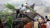 Sugar stocks jump after Government announces increase in FRP for sugarcane – Dalmia Bharat Sugar, EID Parry up 7%; Shree Renuka Sugars shares hit upper circuit Sugar stocks jump after Government announces increase in FRP for sugarcane – Dalmia Bharat Sugar, EID Parry up 7%; Shree Renuka Sugars shares hit upper circuit