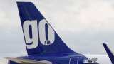 Go Airlines IPO: SEBI gives green signal for Rs 3,600 crore public issue; know objective, shareholders and other details
