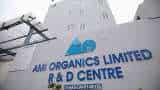 Ami Organics IPO Allotment Status Check Online: Here is direct BSE and Link Intime links and steps to know if you have received SHARES or not