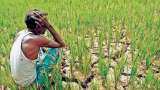 ALARMING! Over 50% farmers' families in debt with average loan of Rs 74,121 in 2019, only 57.5 % loan taken for agricultural purposes : NSO Survey ALARMING! Over 50% farmers' families in debt with average loan of Rs 74,121 in 2019, only 57.5 % loan taken for agricultural purposes : NSO Survey