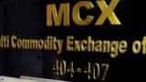 MCX sees dip in futures turnover amid bullion trade losing sheen; options trade up 
