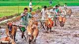 PM Kisan Samman Nidhi Yojana: Get registered using new farmer registration option - Check process PM Kisan Samman Nidhi Yojana: Get registered using new farmer registration option - Check process