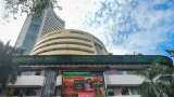 Stock market wrap: From Nifty at all-time high, FIIs, DIIs action to most buzzing sectors, what drove market this week — All you need to know Stock market wrap: From Nifty at all-time high, FIIs, DIIs action to most buzzing sectors, what drove market this week — All you need to know