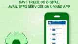 EPFO urges its members to go paperless with UMANG app – check details here 