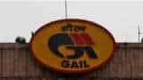 GAIL to build India&#039;s largest green hydrogen plant in 12-14 months