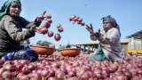 Rain effect on relatively less area on tomato, onion crops: Government data